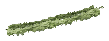 ch1_06f_hedged_45, a vegetation piece of the GTA V map in Richman