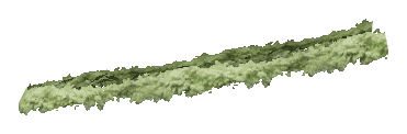 ch1_06f_hedged_46, a vegetation piece of the GTA V map in Richman
