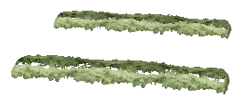 ch1_06f_hedged_49, a vegetation piece of the GTA V map in Richman