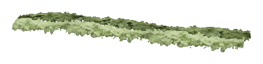 ch1_06f_hedged_50, a vegetation piece of the GTA V map in Richman