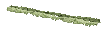 ch1_06f_hedged_51, a vegetation piece of the GTA V map in Richman