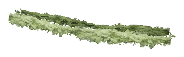 ch1_06f_hedged_52, a vegetation piece of the GTA V map in Richman