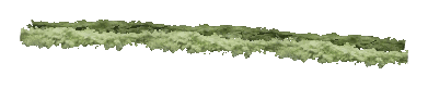 ch1_06f_hedged_53, a vegetation piece of the GTA V map in Richman