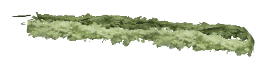 ch1_06f_hedged_54, a vegetation piece of the GTA V map in Richman