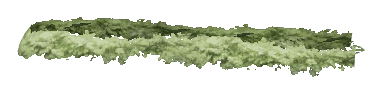 ch1_06f_hedged_55, a vegetation piece of the GTA V map in Richman