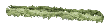 ch1_06f_hedged_56, a vegetation piece of the GTA V map in Richman