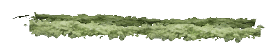 ch1_06f_hedged_58, a vegetation piece of the GTA V map in Richman