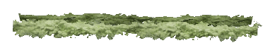 ch1_06f_hedged_59, a vegetation piece of the GTA V map in Richman