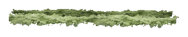 ch1_06f_hedged_62, a vegetation piece of the GTA V map in Richman