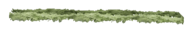 ch1_06f_hedged_63, a vegetation piece of the GTA V map in Richman