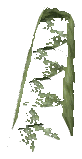 ch1_06f_hedged_64, a vegetation piece of the GTA V map in Richman
