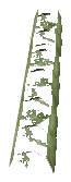 ch1_06f_hedged_66, a vegetation piece of the GTA V map in Richman
