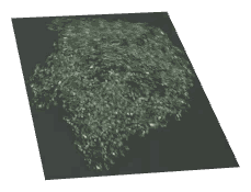 ch1_06f_props_combo04_14_lod, a low-detail (LOD) model of the GTA V map in Richman