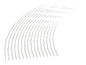 ch1_07_d01_wire08, a cable mesh of the GTA V map in Pacific Bluffs
