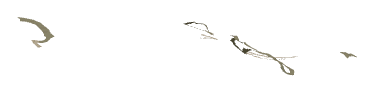 ch1_08_deco02, a piece of the GTA V map in Banham Canyon
