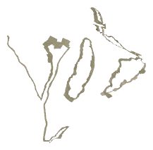 ch1_08_deco03, a piece of the GTA V map in Banham Canyon