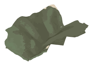 ch1_08_land_05_lod, a low-detail (LOD) model of the GTA V map in Pacific Bluffs
