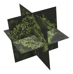 ch1_08_props_combo20_29_lod, a low-detail (LOD) model of the GTA V map in Pacific Bluffs