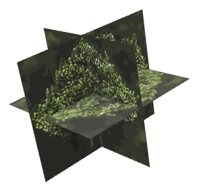 ch1_08_props_combo22_26_lod, a low-detail (LOD) model of the GTA V map in Banham Canyon