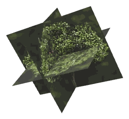 ch1_08_props_combo32_06_lod, a low-detail (LOD) model of the GTA V map in Banham Canyon