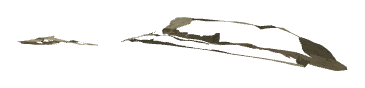 ch1_09_bbd_012, a piece of the GTA V map in Lago Zancudo
