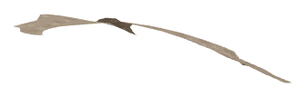ch1_09_bbd_03, a piece of the GTA V map in Tongva Hills