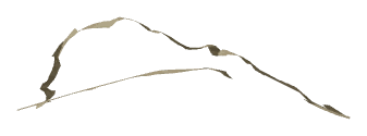 ch1_09_bbd_04, a piece of the GTA V map in Tongva Hills
