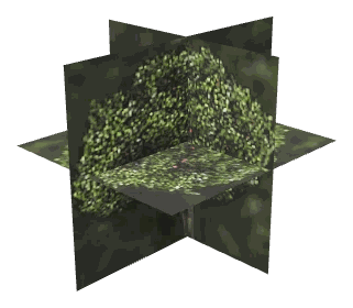 ch1_09_props_combo22_16_lod, a low-detail (LOD) model of the GTA V map in Tongva Hills