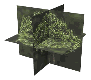 ch1_09_props_combo23_slod, a super-low-detail (SLOD) model of the GTA V map in Chumash