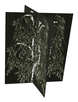 ch1_09_props_combo28_06_lod, a low-detail (LOD) model of the GTA V map in Tongva Hills