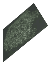 ch1_09_props_combo40_25_lod, a low-detail (LOD) model of the GTA V map in Tongva Hills
