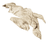 ch1_09b_ovrly_14, a piece of the GTA V map in Tongva Hills