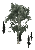 ch1_09b_props_veg15_13_lod, a low-detail (LOD) model of the GTA V map in Tongva Hills