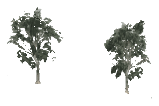ch1_09b_props_veg16_05_lod, a low-detail (LOD) model of the GTA V map in Tongva Hills