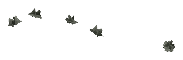ch1_09b_props_veg20_25_lod, a low-detail (LOD) model of the GTA V map in Tongva Hills