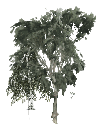 ch1_09b_props_veg20_28_lod, a low-detail (LOD) model of the GTA V map in Tongva Hills