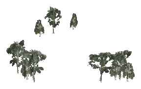 ch1_09b_props_veg20_30_lod, a low-detail (LOD) model of the GTA V map in Tongva Hills
