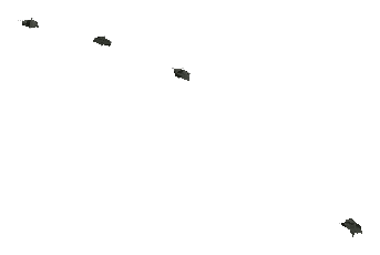 ch1_09b_props_veg21_17_lod, a low-detail (LOD) model of the GTA V map in Tongva Hills