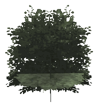 ch1_09b_props_veg22_01_lod, a low-detail (LOD) model of the GTA V map in Tongva Hills