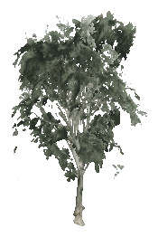 ch1_09b_props_veg22_23_lod, a low-detail (LOD) model of the GTA V map in Tongva Hills