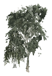 ch1_09b_props_veg22_24_lod, a low-detail (LOD) model of the GTA V map in Tongva Hills
