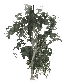 ch1_09b_props_veg22_26_lod, a low-detail (LOD) model of the GTA V map in Tongva Hills