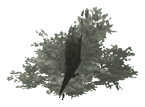 ch1_09b_props_veg22_28_lod, a low-detail (LOD) model of the GTA V map in Tongva Hills