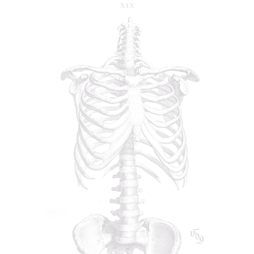 VDG Skeleton T-Shirt, a GTA V tattoo