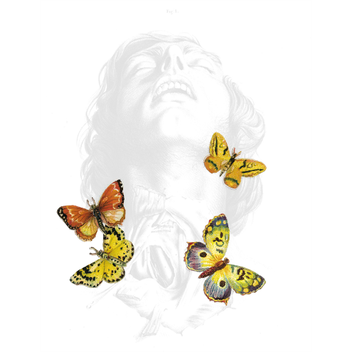 VDG Butterflies T-Shirt, a GTA V tattoo
