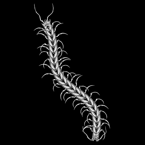 Centipede, a GTA V tattoo