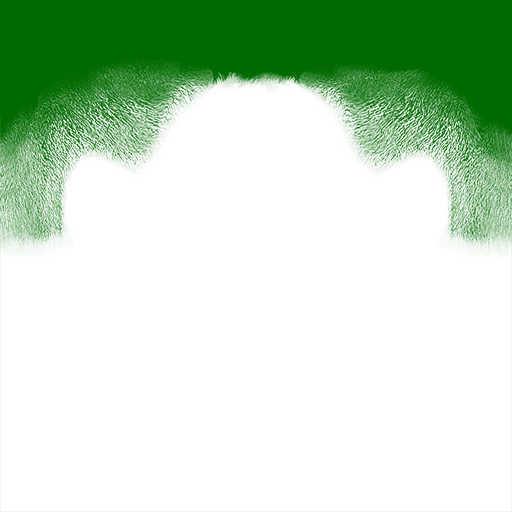 NG_F_Hair_013, a GTA V tattoo