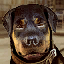 char_lamar, a GTA V UI texture dictionary