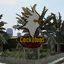 char_property_bar_cockotoos, a GTA V notification picture