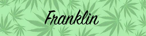 shopui_title_graphics_franklin, a GTA V UI texture dictionary